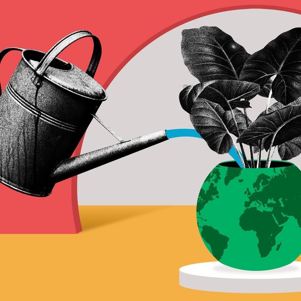 COP27: Il valore delle dichiarazioni di intenti